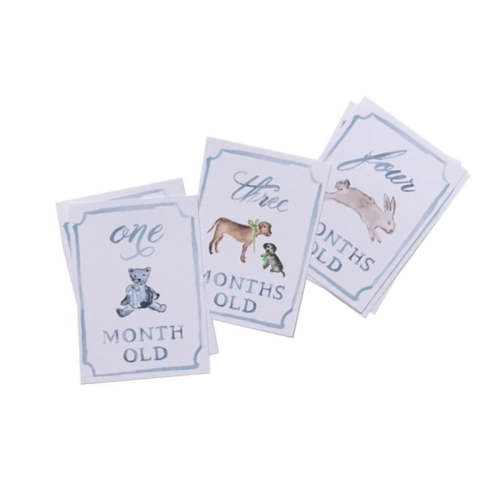 Milestone Baby Card Set