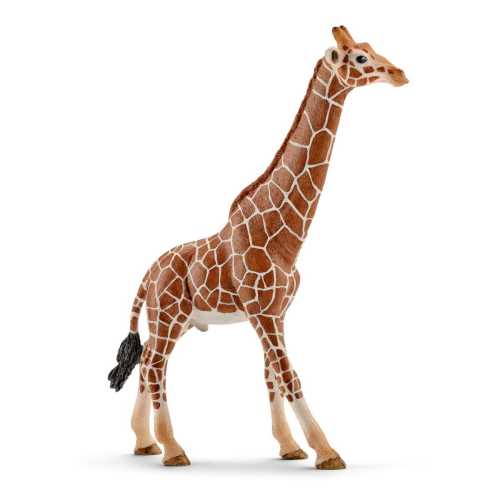 Giraffe, male 14749 | Schleich USA Inc.
