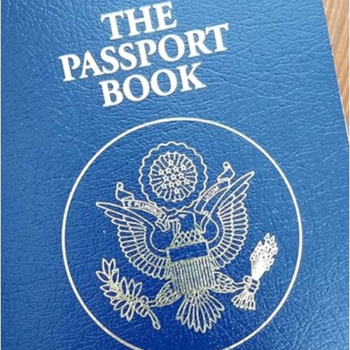 Dahsyn’s first passport $135