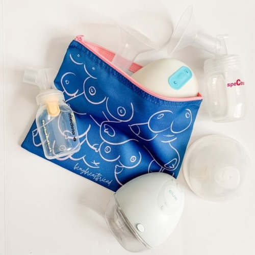 The Boob Bag - Breastfeeding Accessory Bag – bemybreastfriend, LLC