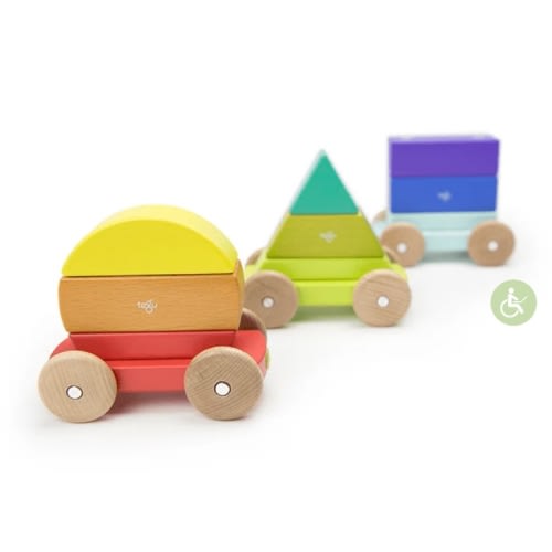 Tegu Magnetic Shape Train Rainbow