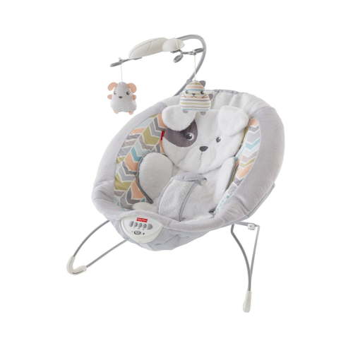 Fisher-Price Siège sauteur Mon chiot adoré - Walmart.ca