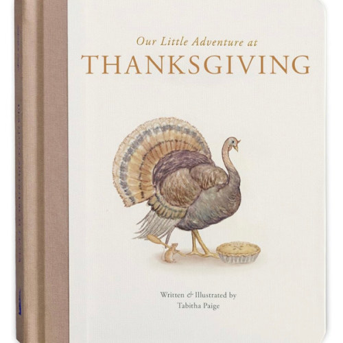 Our Little Adventure at Thanksgiving: Featuring Foundational Language Concepts and Lessons on Gratitude (Tabitha Paige Children's Book Series)