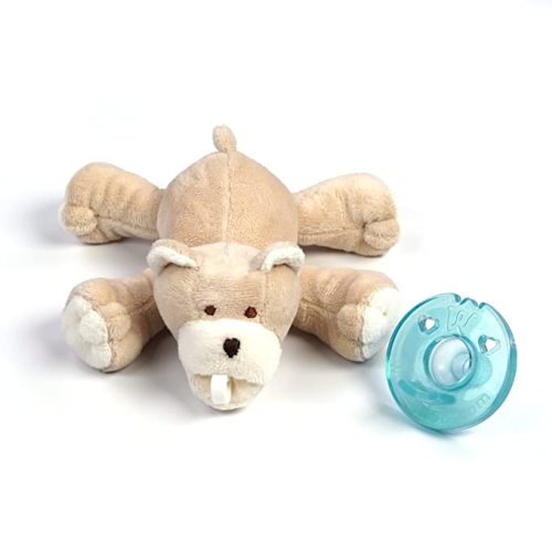 Amazon.com : WubbaNub Baby Bear Detachable Pacifier : Baby