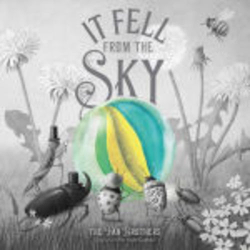 It Fell from the Sky by Terry Fan, Eric Fan, Hardcover | Barnes & Noble®