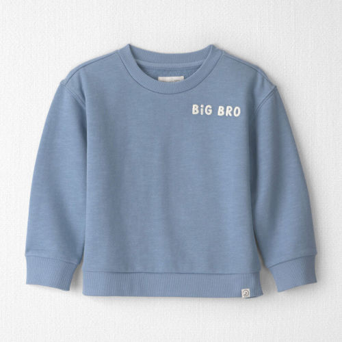 Toddler Boy Organic Cotton Big Bro Pullover | Carter’s Oshkosh Canada