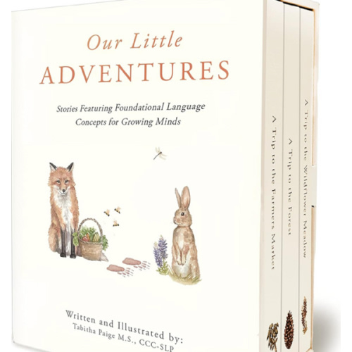 Our Little Adventures: Stories Featuring Foundational Language Concepts for Growing Minds (Tabitha Paige Children's Book Series)