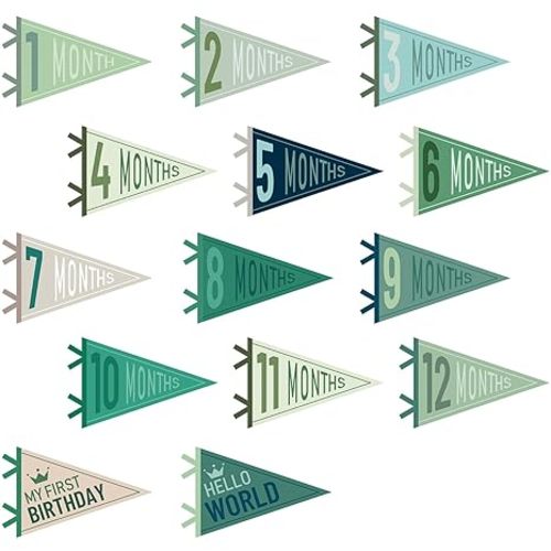 VitalCozy 14 Pcs Baby Milestone Pennant Signs Monthly Milestone Banner Flags Pennant Triangle Banner Age Flag Signs for Boy Girl Newborn Birthday Party Decor (Morandi)