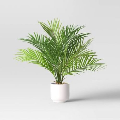 Palm Artificial Potted Plant - Room Essentials™