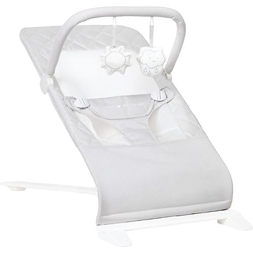 Baby Delight Alpine Deluxe Portable Bouncer | Infant | 0 – 6 Months | Driftwood Grey