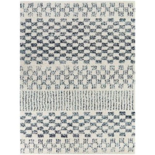Mendieta Checkered Shag Kids' Rug - Balta Rugs