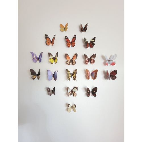 3D Butterfly Wall Decals, Vivid Home Decor Stickers (38/76pc Set)