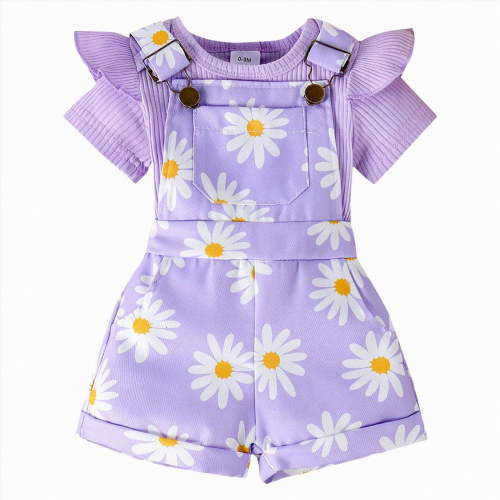 HCNTES Toddler Girl Clothes Newborn Infant Baby Outfits Ruffle Romper+ Soft Shorts + Cute Headband Sets For 6 12 18 24 Months Dailywear(Z01-Purple,6-12 Months)