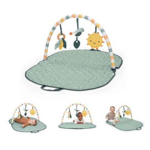 Bright Starts Sunny Nest Baby Activity Gym