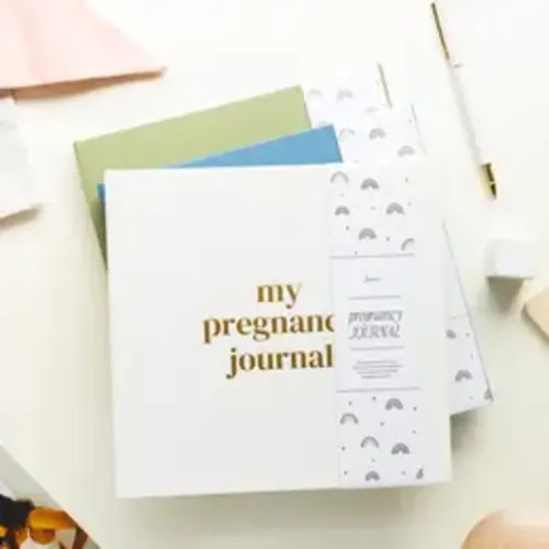 Lamare Pregnancy Journal & Planner – Timeless Memory Book for First-Time Moms - TikTok Shop