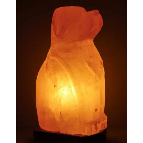 himalayan salt lamp
doesnt matter what kind
with dimmer would be cool