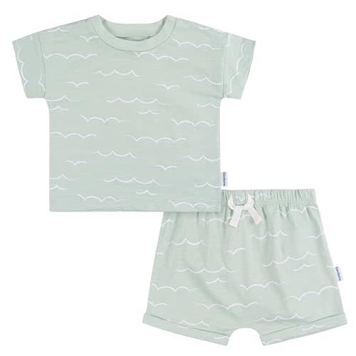 Gerber baby-boys T-shirt and Shorts Set