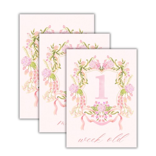 Baby Girl Milestone Cards – Monthly Milestone Cards – Newborn to 1st Year Keepsake Cards – Perfect Baby Shower Gift - Newborn Keepsake