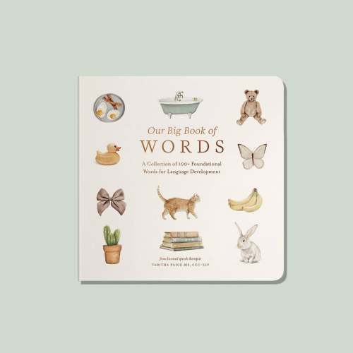 Our Big Book of First Words | Baby Board Book