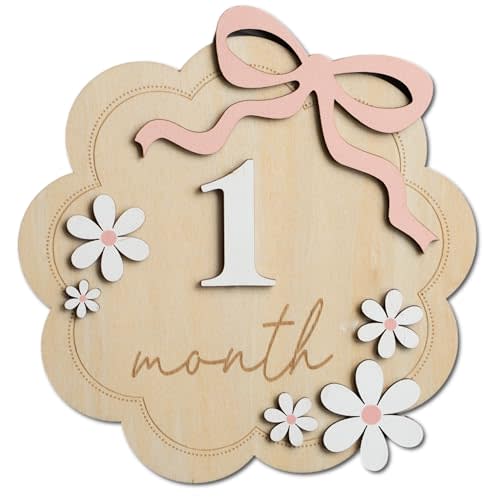 Baby Monthly Milestone Sign,1-12 Monthly Baby Milestone, Month Milestone Baby Girl, Baby Months Milestone, Newborn Photography Props Double-Sided (B12)