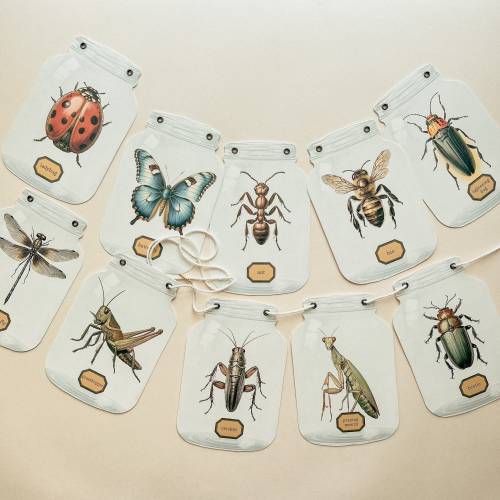 Bug Birthday Decor, Homeschool Decor, Learning Gift, 5x7" Jars