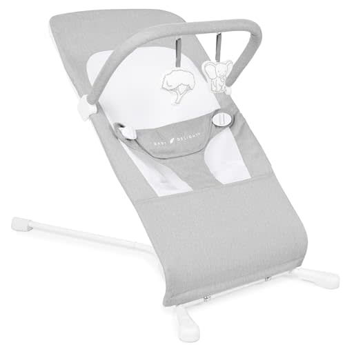 Baby Delight Highland Baby Bouncer | Infant | 0  6 Months | 3-Position Recline | Pebble Grey