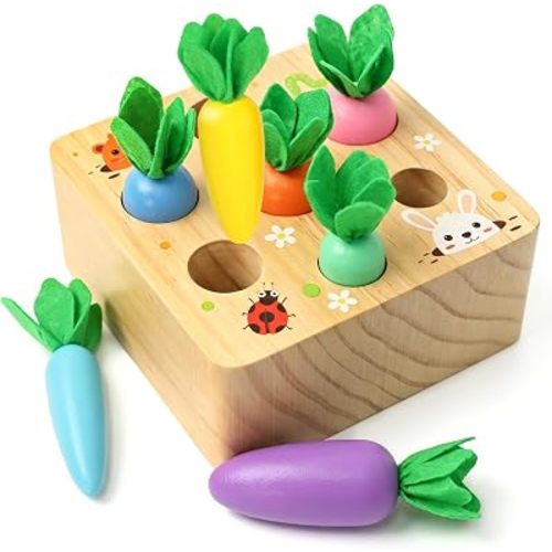 Wdmiya Montessoritoys for 1 Year Old, Developmental Wooden Toys 6-12 Months