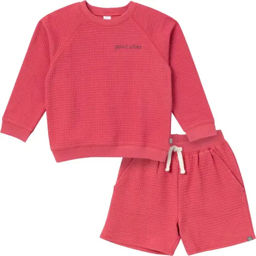 2-Piece Infant & Toddler Boys Dusty Red Long Sleeve Top and Shorts Set – Gerber Childrenswear