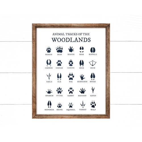 Navy Animal Tracks of the Woodlands, Boy Woodland Nursery Prints, Animal Foot Prints, Cabin Decor, Nursery Wall Art, Woodland Nursery Decor,