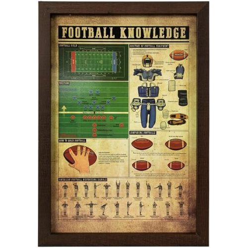 Hobby Lobby Football Knowledge Educational Framed Wall Art, 20 x 14 inches