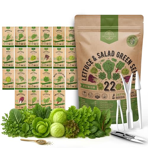 Organo Republic 22 Lettuce & Salad Greens Seeds Variety Pack 24,700+ Non-GMO Heirloom Lettuce Seeds for Indoor & Outdoor Garden, Hydroponic & Aeroponic - 2026 Season - Arugula, Spinach, Swiss Chard