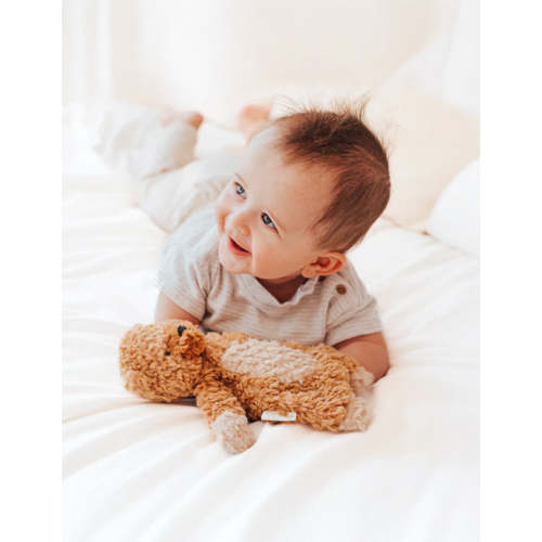 Wooden Pull Toy - Pull Apart Pup | Wonder & Wise
