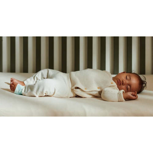 Owlet One – Owlet US