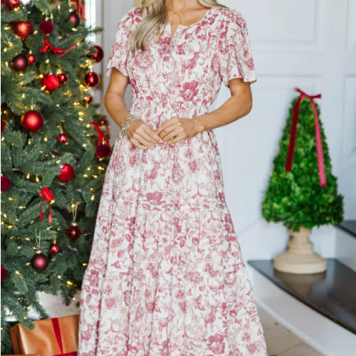 NURSING COLLECTION: All In The Air Red Toile Dress