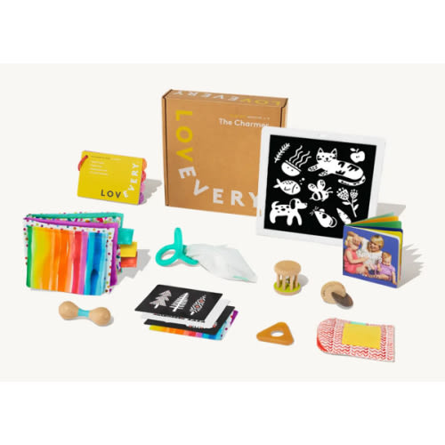 Lovevery Play Box subscription.