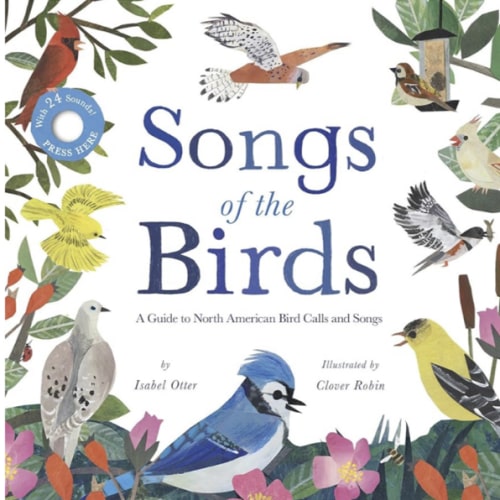 Songs of the Birds: A Guide to North American Bird Calls and Songs
