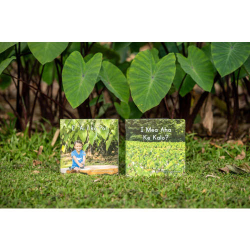 Kalo Board Books