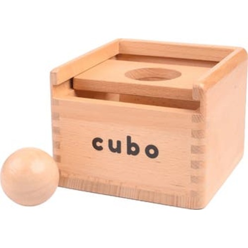 Montessori Box Starter Kit, Wooden Sorting Toy, 6Mo+