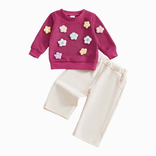 UAYOTSE Toddler Clothes for Girls Baby 3D Flower Fall Winter Outfits Sweatshirt Pullover Cute Pants Set(Hot Pink#-3,12-18 Months)