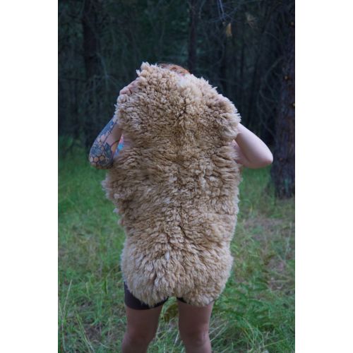 sheepskin ~ curds & cream