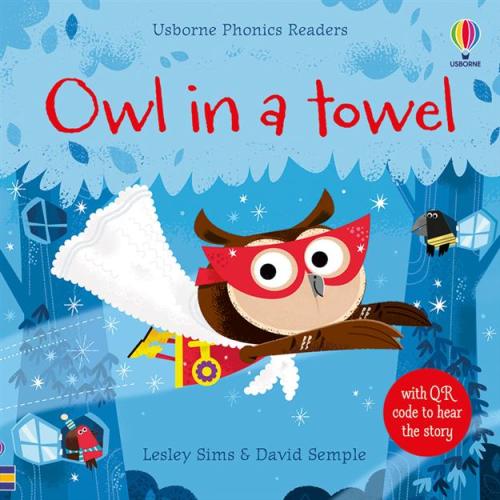 PaperPie - Owl in a Towel (QR)