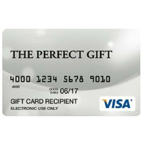 Visa Any Amount Prepaid Gift Card