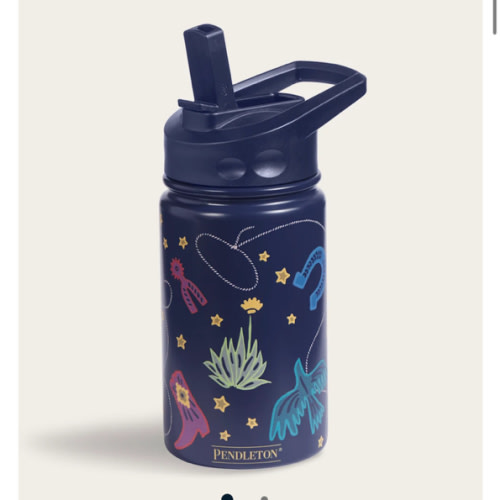 COSMIC RODEO 12 OZ INSULATED BOTTLE