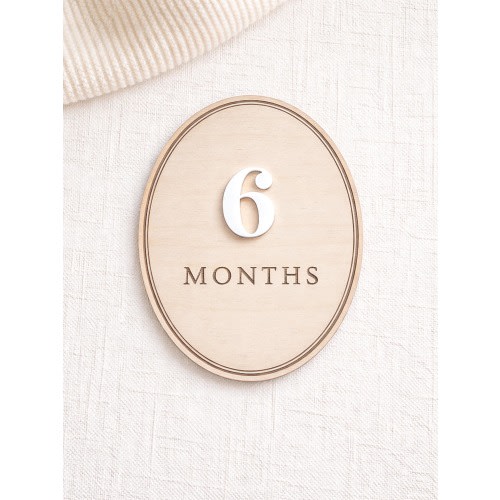 Monthly Baby Milestone Sign, Interchangeable Numbers, Wood Photo Prop, Baby Shower Gift