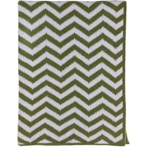 Living Textiles Sage Chevron Chenille Soft Baby Blanket Knitted Reversible Premium Cozy Fabric for Best Comfort -Infant,Toddler,Newborn,Swaddle,Nursery,Boy,Girl,Unisex,Throw,Crib,Stroller,Gift 40x30in