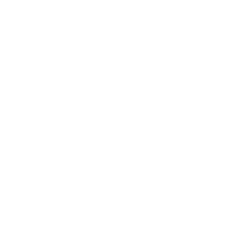 Toddler carrier Green Graphic | Wildride – Wildride USA