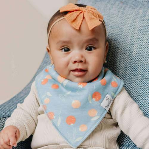 Baby Bandana Bibs - Clementine