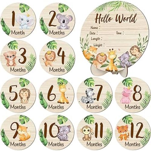 XLSXEXCL Wooden Baby Monthly Milestone Cards Double Sided Baby Birth Sign | Hello World Milestone Sign Discs Pregnancy and Baby Shower Gifts for Newborn Photo Props
