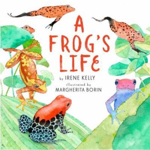 A Frog's Life book by Irene Kelly