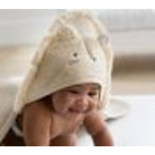 Lion Hooded Towel and Washcloth